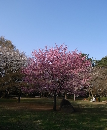 e0043700_18402424.jpg