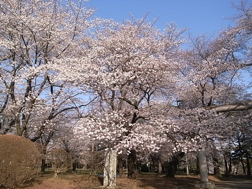 e0043700_18403520.jpg