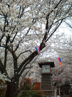 a0292205_21495483.jpg