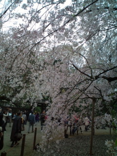 a0292205_222756.jpg