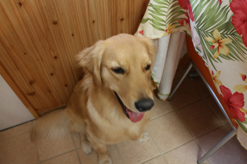 e0072606_1318047.jpg
