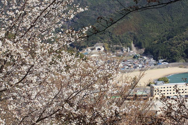 d0154609_14194113.jpg