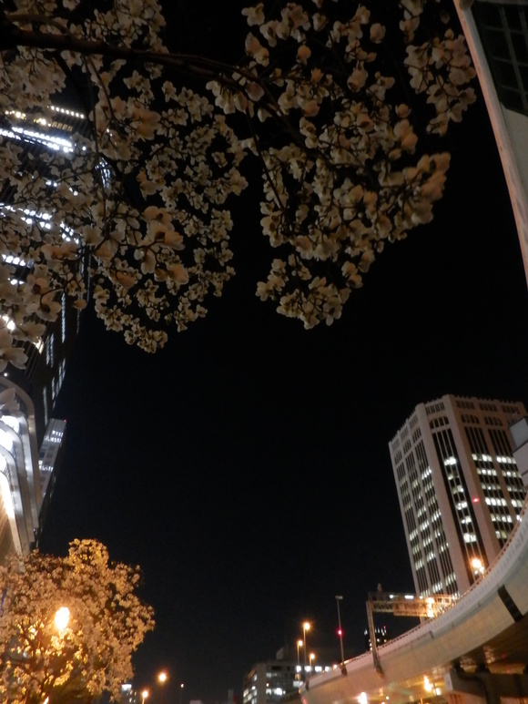 c0062511_23473698.jpg