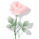 c0169414_224731.gif