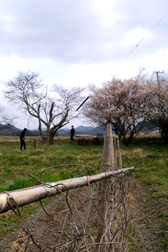 e0015915_13241889.jpg