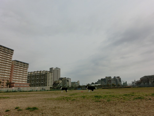 e0179321_2315383.jpg