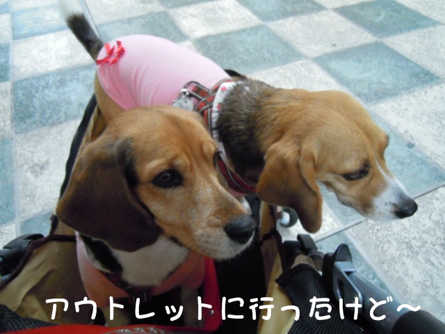 c0166622_9352711.jpg