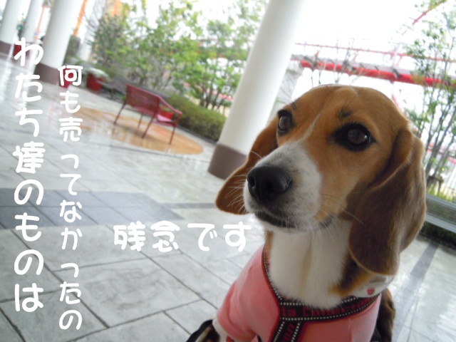 c0166622_9353760.jpg