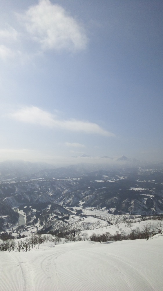 b0199924_1852940.jpg