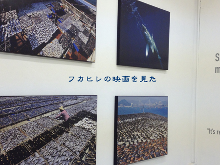 d0042827_233613.jpg