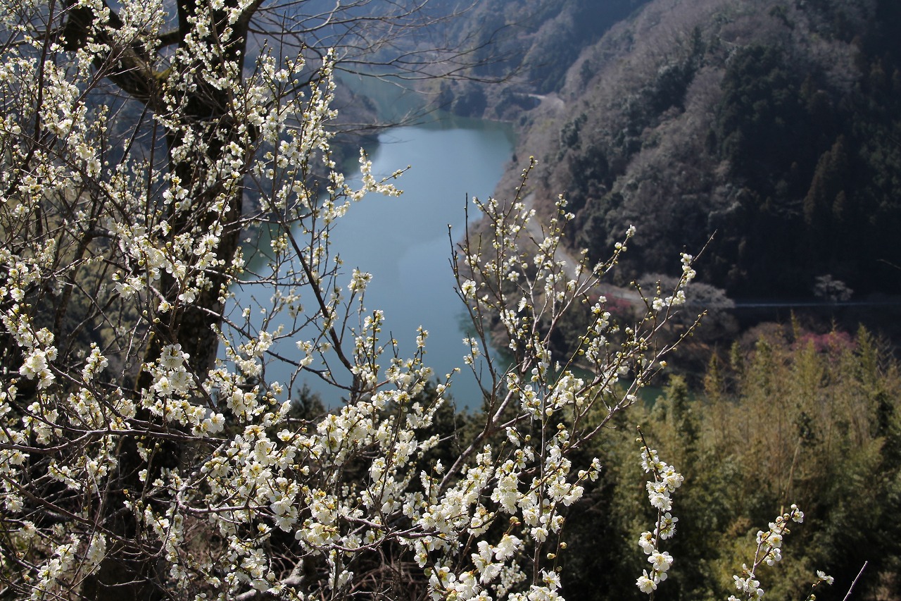 b0162728_8314195.jpg