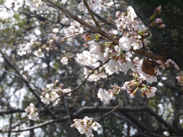 f0231829_1027401.jpg