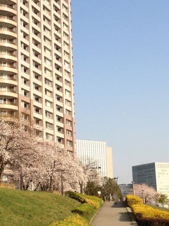 c0177332_16114170.jpg