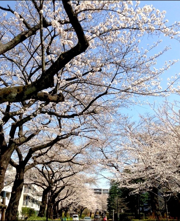 b0213435_17162426.jpg