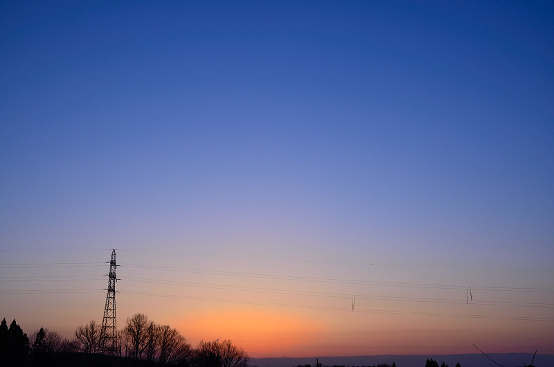 e0055138_635176.jpg