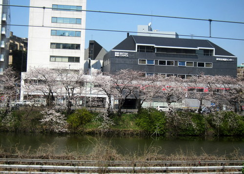 b0178339_2325586.jpg