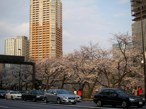 b0178339_2355271.jpg