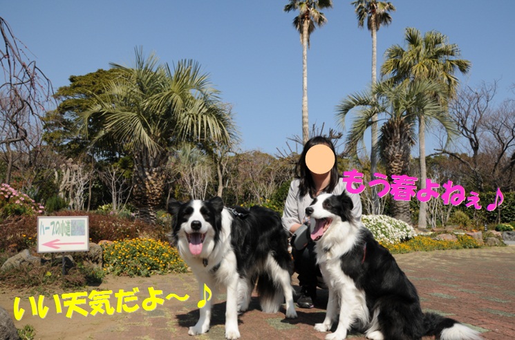 c0147241_18315666.jpg