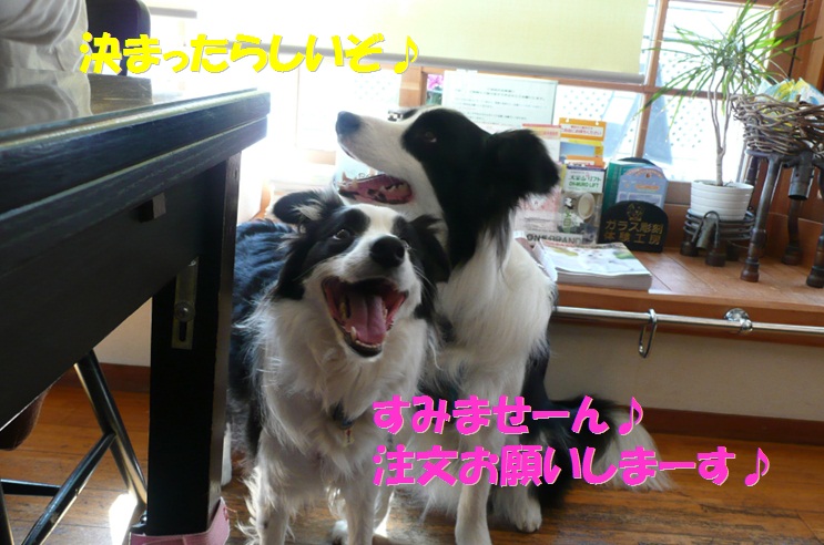c0147241_1831710.jpg