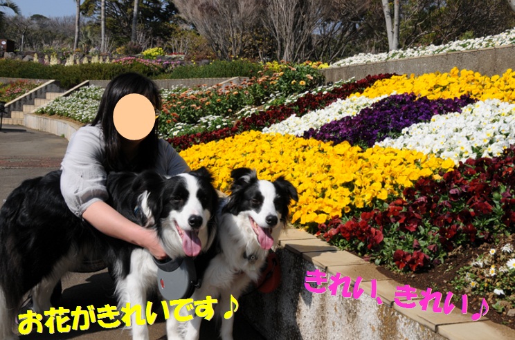 c0147241_18321272.jpg