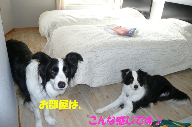 c0147241_18324447.jpg