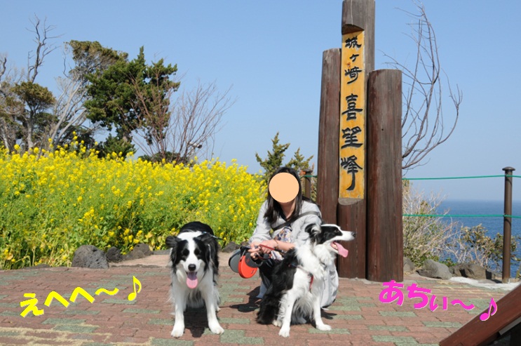 c0147241_1832786.jpg