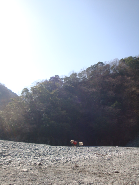 e0158841_10475625.jpg