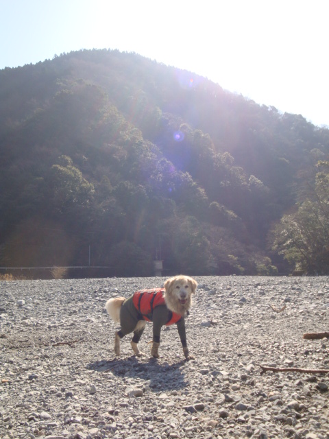 e0158841_10504843.jpg