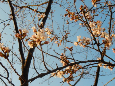 a0142343_1361190.jpg