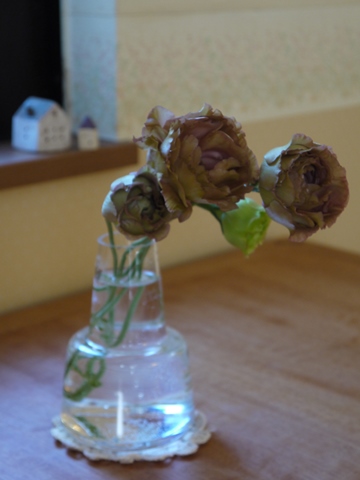 e0100046_0201279.jpg