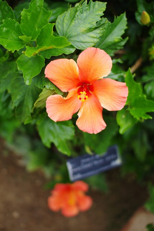 a0299749_1592026.jpg