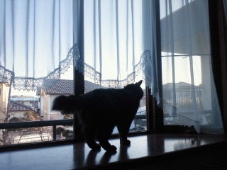 e0150849_1952241.jpg
