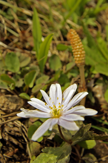 f0214649_623690.jpg