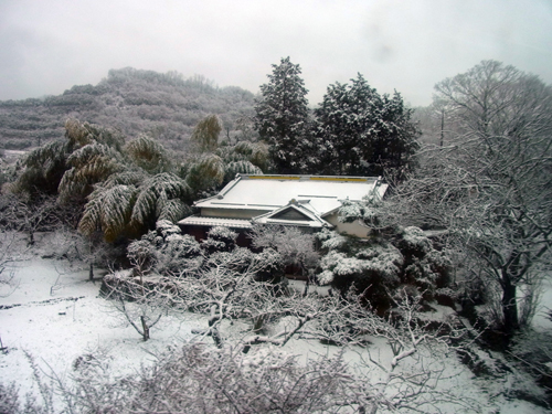 f0216353_22282520.jpg