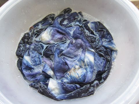 a0081957_16232226.jpg