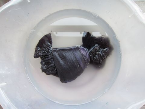 a0081957_16232679.jpg