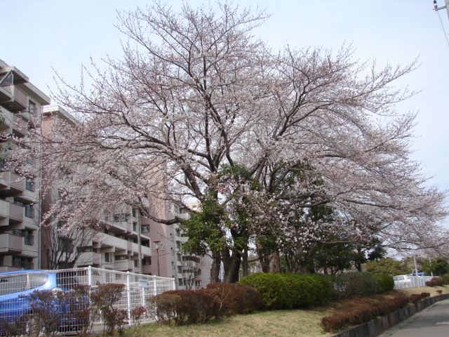 b0061261_20205290.jpg
