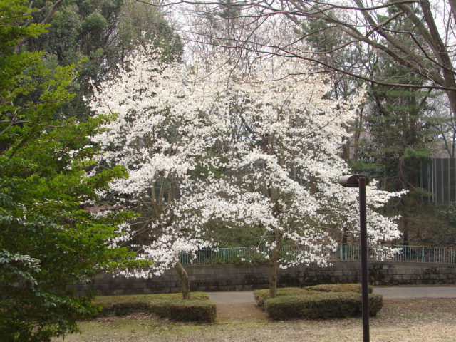 b0061261_20443137.jpg