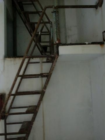 c0172261_8434685.jpg