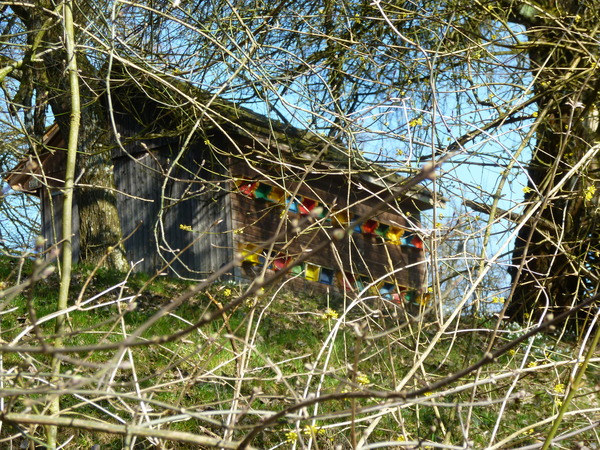 c0287366_194947.jpg