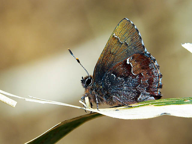 f0199866_2245758.jpg