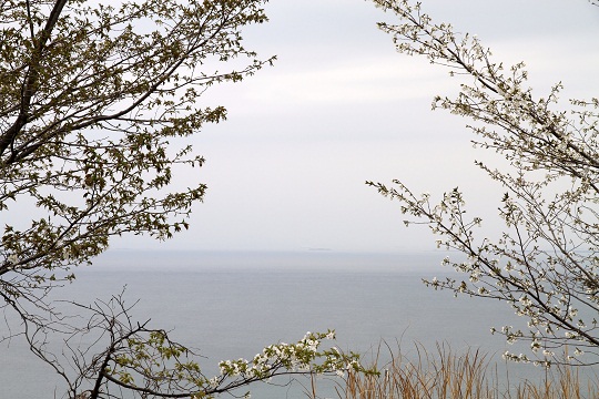 e0062371_19543984.jpg