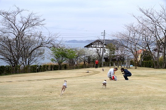 e0062371_1955134.jpg