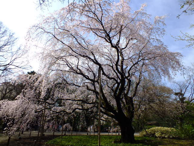 e0145782_1810945.jpg
