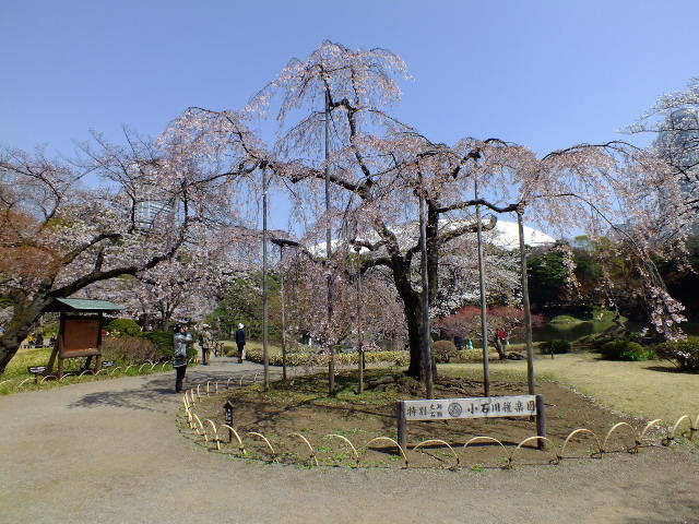 e0145782_1813919.jpg