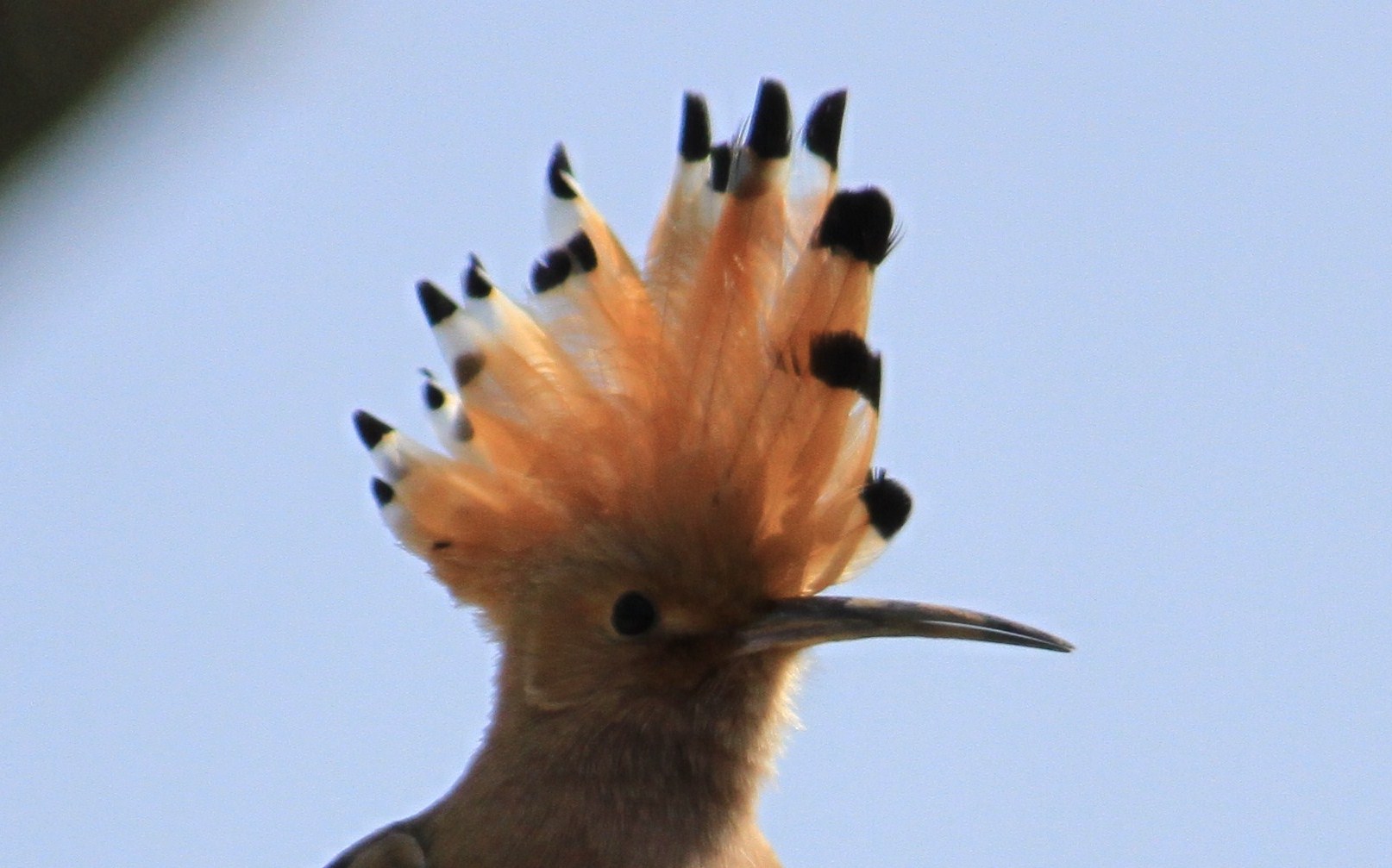 e0197884_8271287.jpg