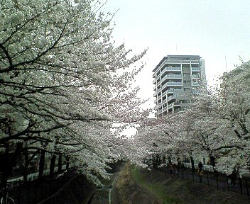 c0014187_22543076.jpg