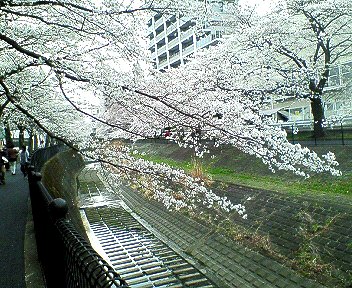 c0014187_22554939.jpg