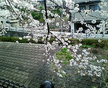 c0014187_22555758.jpg