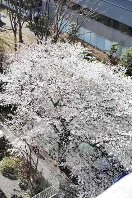 a0025490_5134999.jpg